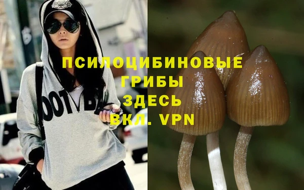 прущая мука Куйбышев