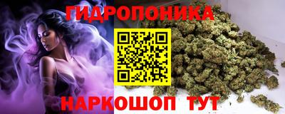 ECSTASY Гатчина