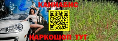 гашик Гай