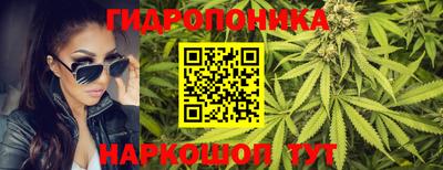 гашик Гай