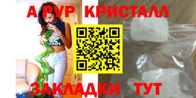 ECSTASY Гатчина
