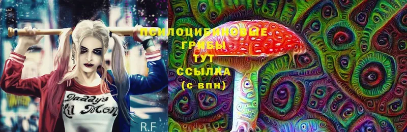 гидра зеркало  магазин    Заречный  Псилоцибиновые грибы Magic Shrooms 