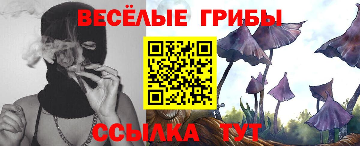 Галлюциногенные грибы Psilocybe  наркошоп  Заречный  Галлюциногенные грибы мухоморы  Вход с VPN 