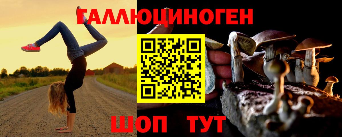 Псилоцибиновые грибы Psilocybe  Галлюциногенные грибы прущие грибы  Заречный 